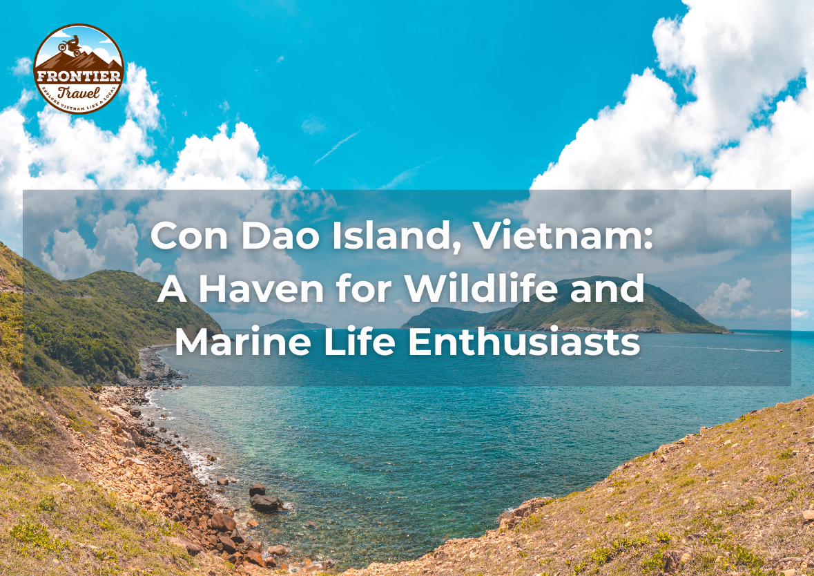 Con Dao Island, Vietnam: A Haven For Wildlife And Marine Life Enthusiasts